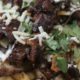 Loaded Birria Fries