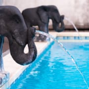 How to Keep Your Pool Cool How to Keep Your Pool Cool