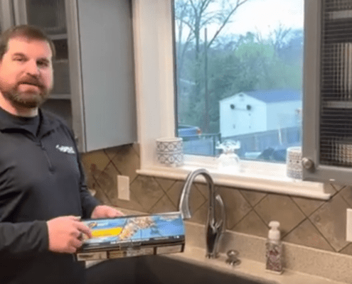 David Talks How to Get Rid of Mosquitos